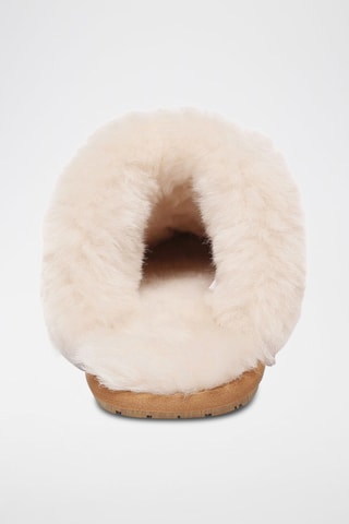 Pantufas forradas de nobuck Harrier - Cru