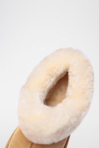 Botins forrados de nobuck Ibis - Camel