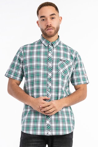 Chemise slim Brixworth - Vert et blanc