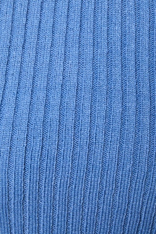Trui 
Blauw