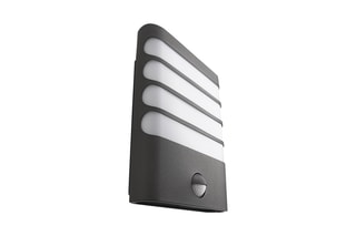 Applique murale LED extérieure avec détecteur de mouvement Raccoon - Anthracite