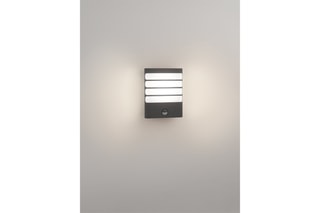 Applique murale LED extérieure avec détecteur de mouvement Raccoon - Anthracite