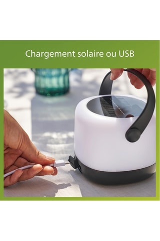 Lampe à poser solaire LED Alula - Noir - 1,2 W