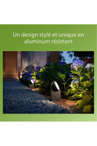 Applique murale LED Mimosa - Anthracite - 7 W