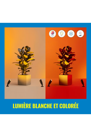 Spot LED connecté - 5 W