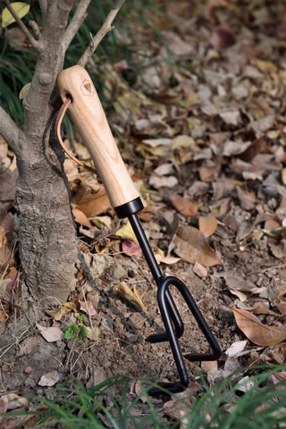 3 Essenhouten Tuinaccessoires