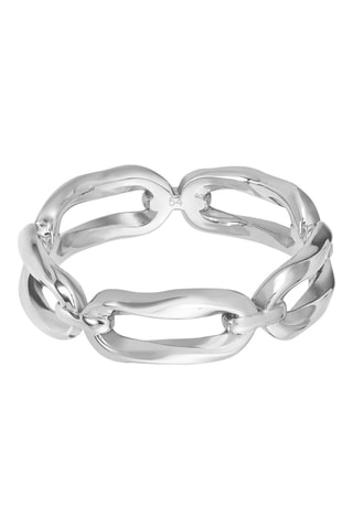 Ring Zilverkleurig