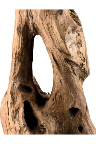 Branche décorative en teck M - Naturel