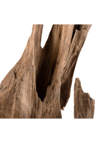 Branche décorative en teck M - Naturel