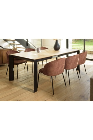 2 chaises Tom - Marron