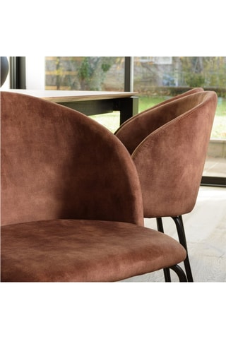 2 chaises Tom - Marron