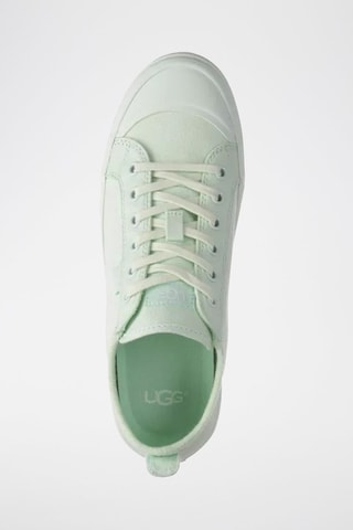 Tennis Aries - Vert clair