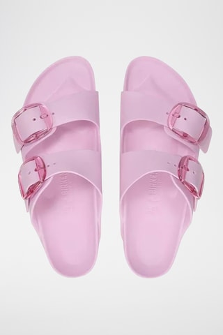 Mules Arizona - Rose