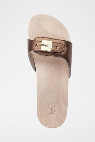 Mules Pescura Marron