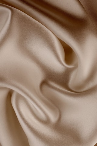 Taie d'oreiller en soie - Beige