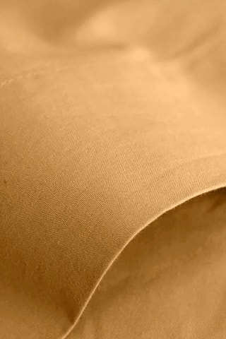 Drap plat en coton 57 fils/cm² - Miel