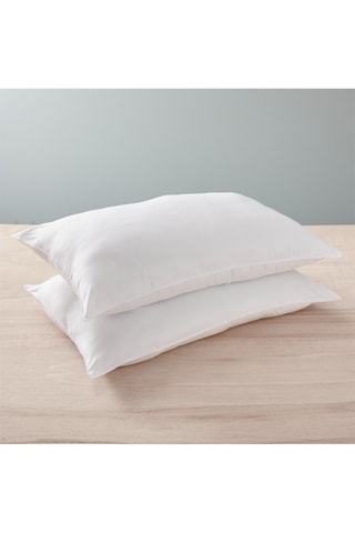 2 Oreillers Gamme  "Douceur" Blanreve