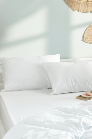 2 Oreillers Gamme  "Douceur" Blanreve