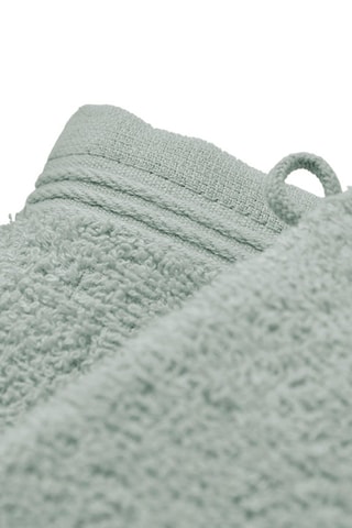 2 gants de toilette Spa Vert céladon