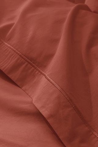 Drap plat en coton 80 fils/cm² Julian - Terracotta