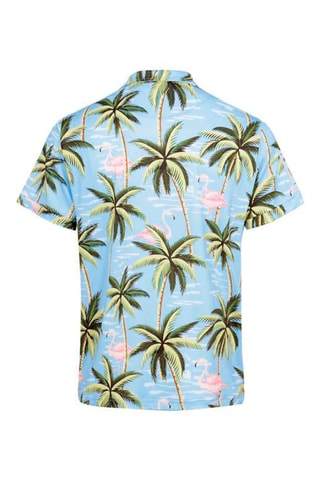 Chemise Goyave - Ciel