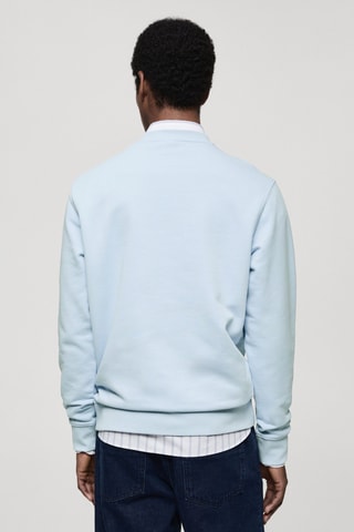 Sweat-shirt regular-fit 100 % coton - Bleu clair