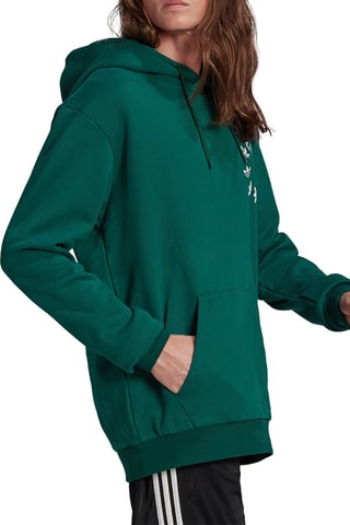 Sweater met Capuchon BLD Donkergroen
