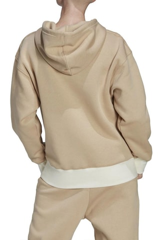 Sweater met Capuchon Mountain - Bruin - Adidas