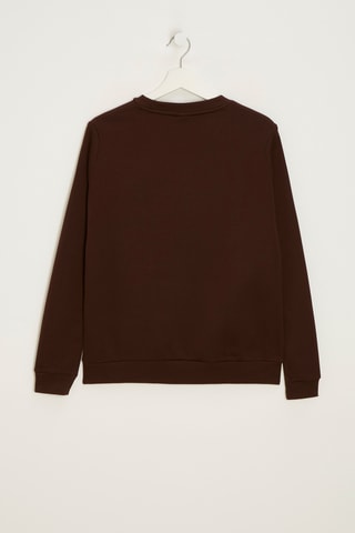 Sweater - Bruin