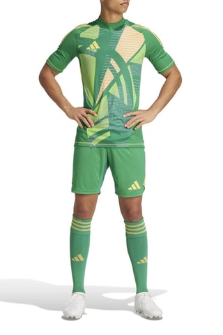 Maillot de football T24 P GK JSY - Vert foncé