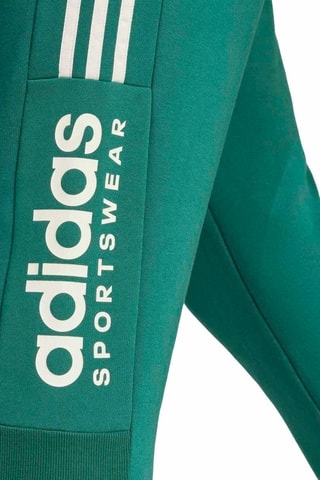 Pantalon House of Tiro - Vert