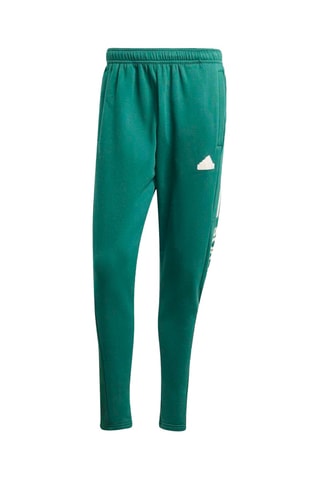 Pantalon House of Tiro - Vert
