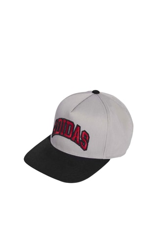 Casquette Varsity - Gris clair et noir