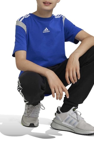 T-shirt Colorblock - Bleu cobalt
