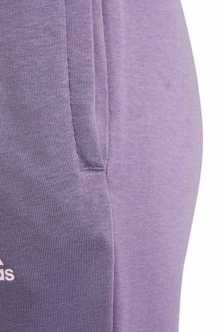 Pantalon - Violet