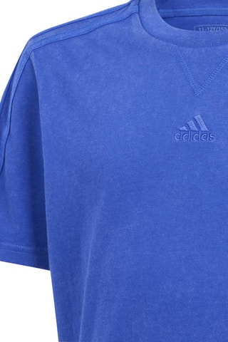 T-shirt SZN - Bleu roi