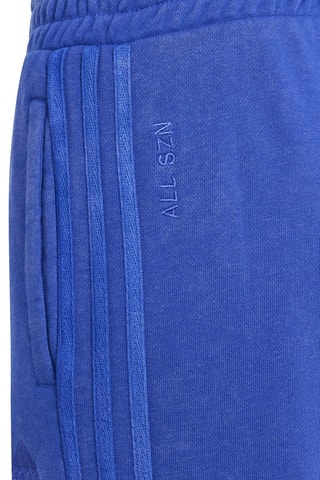 Pantalon SZN - Bleu roi