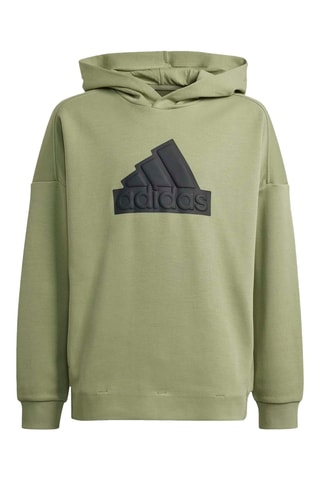 Sweat à capuche Future Icons - Vert