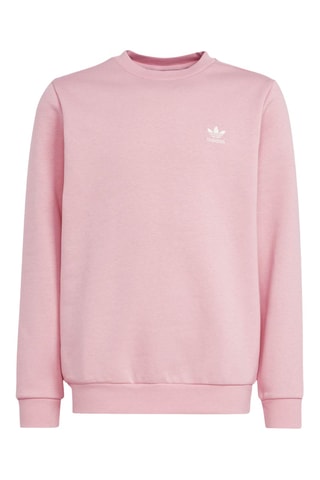 Sweat - Rose