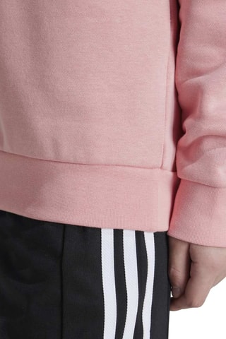 Sweat - Rose
