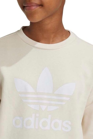 Sweat Trefoil - Ecru