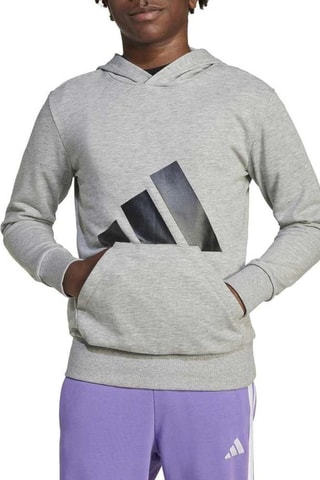 Sweat à capuche Essentials - Gris chiné
