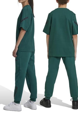 Pantalon Z.N.E. - Vert foncé
