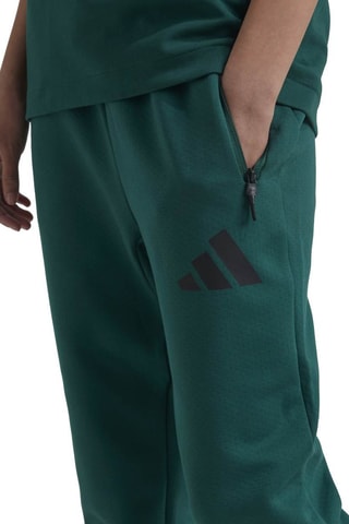 Pantalon Z.N.E. - Vert foncé