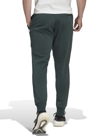 Pantalon en coton biologique Mint 4CMTE Pt Vert foncé