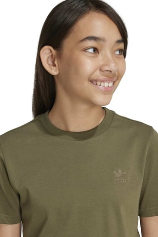 T-shirt standard - Kaki