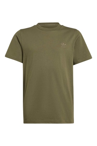 T-shirt standard - Kaki
