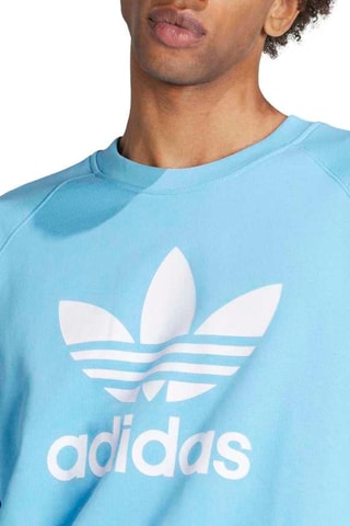Sweat Trefoil Crew - Ciel