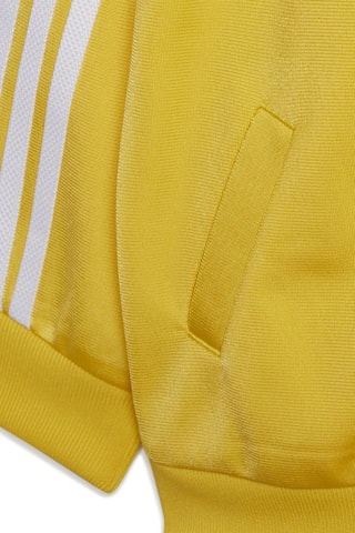 Veste et pantalon SST - Jaune