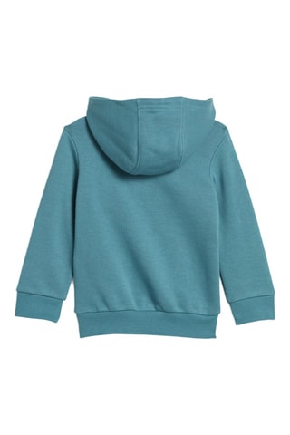 Sweat et pantalon Adicolor - Vert